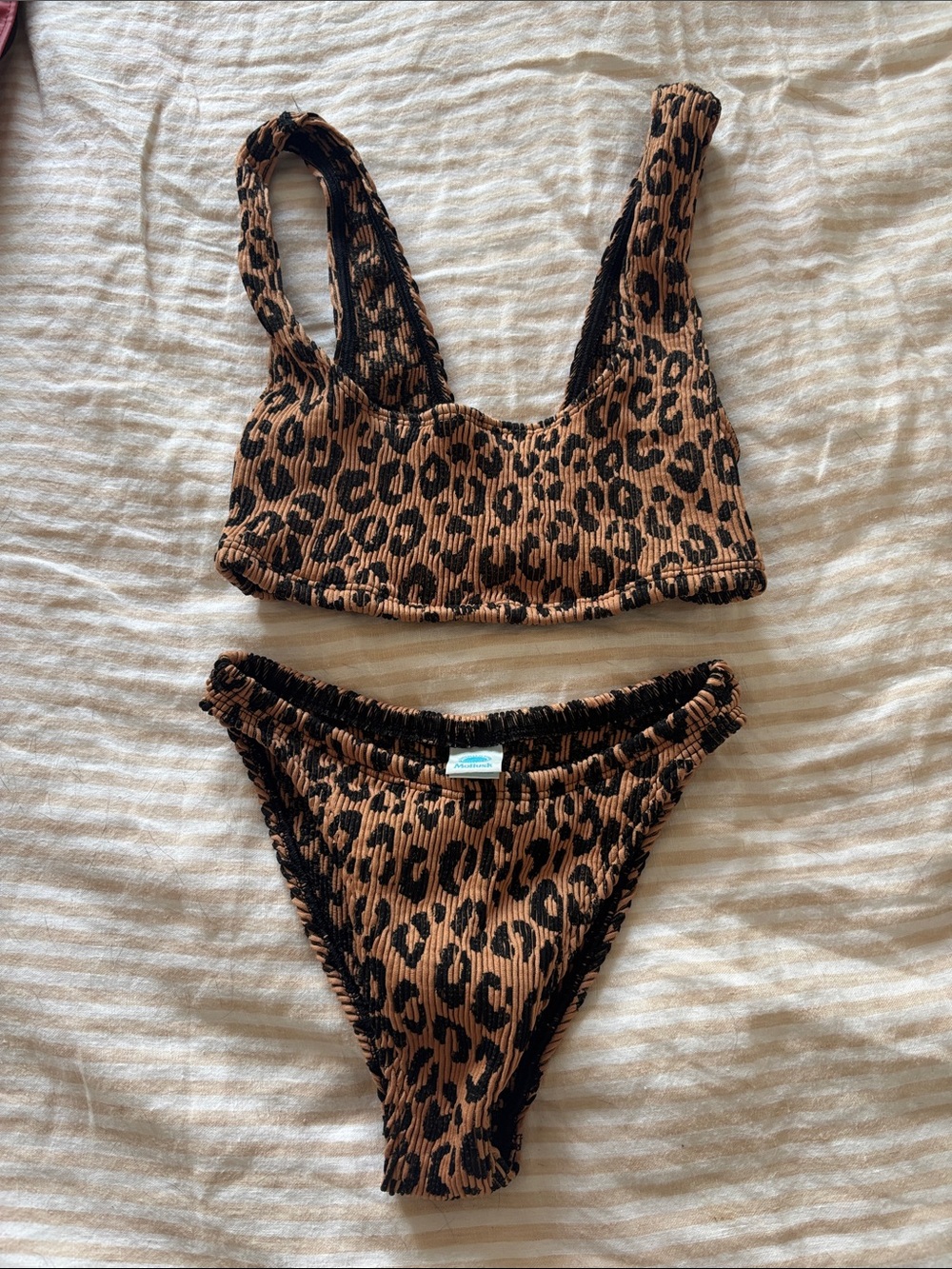 Mollusk swim set